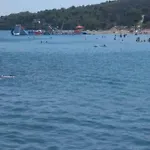 Bili Marina