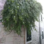 Bili Daire