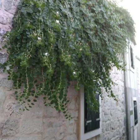 Bili Apartment