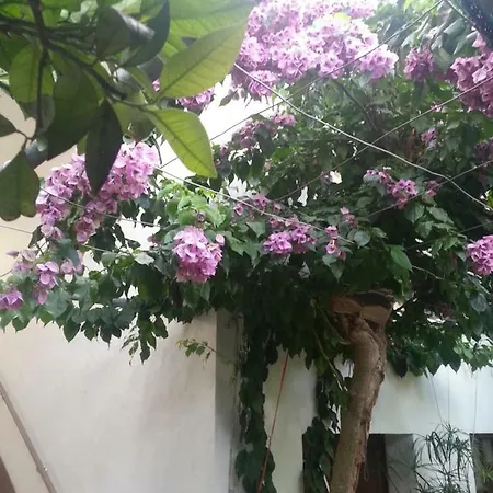 Bili 아파트 산책길