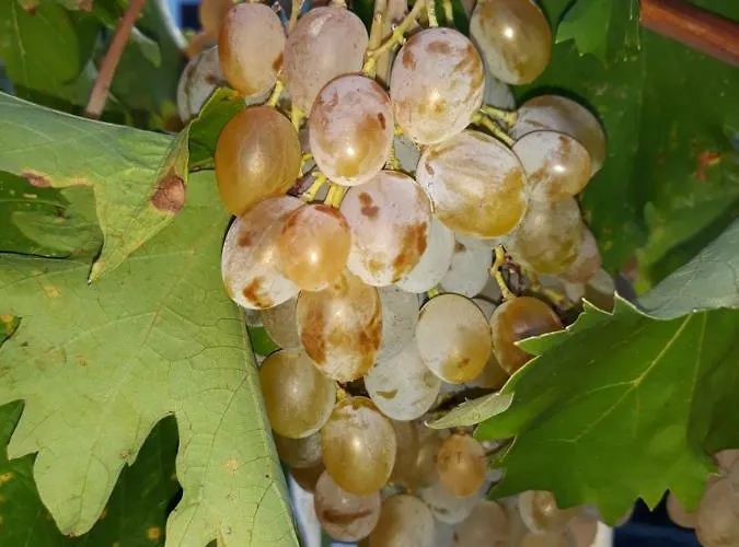 Bili Апартаменты