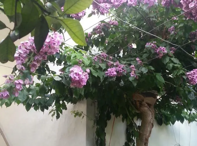 Bili Апартаменты Марина